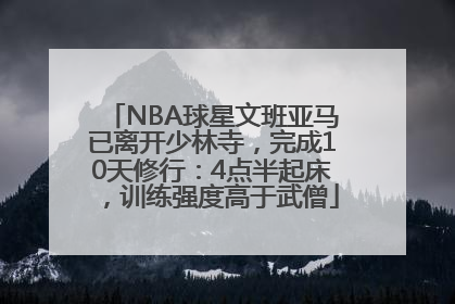 NBA球星文班亚马已离开少林寺，完成10天修行：4点半起床，训练强度高于武僧
